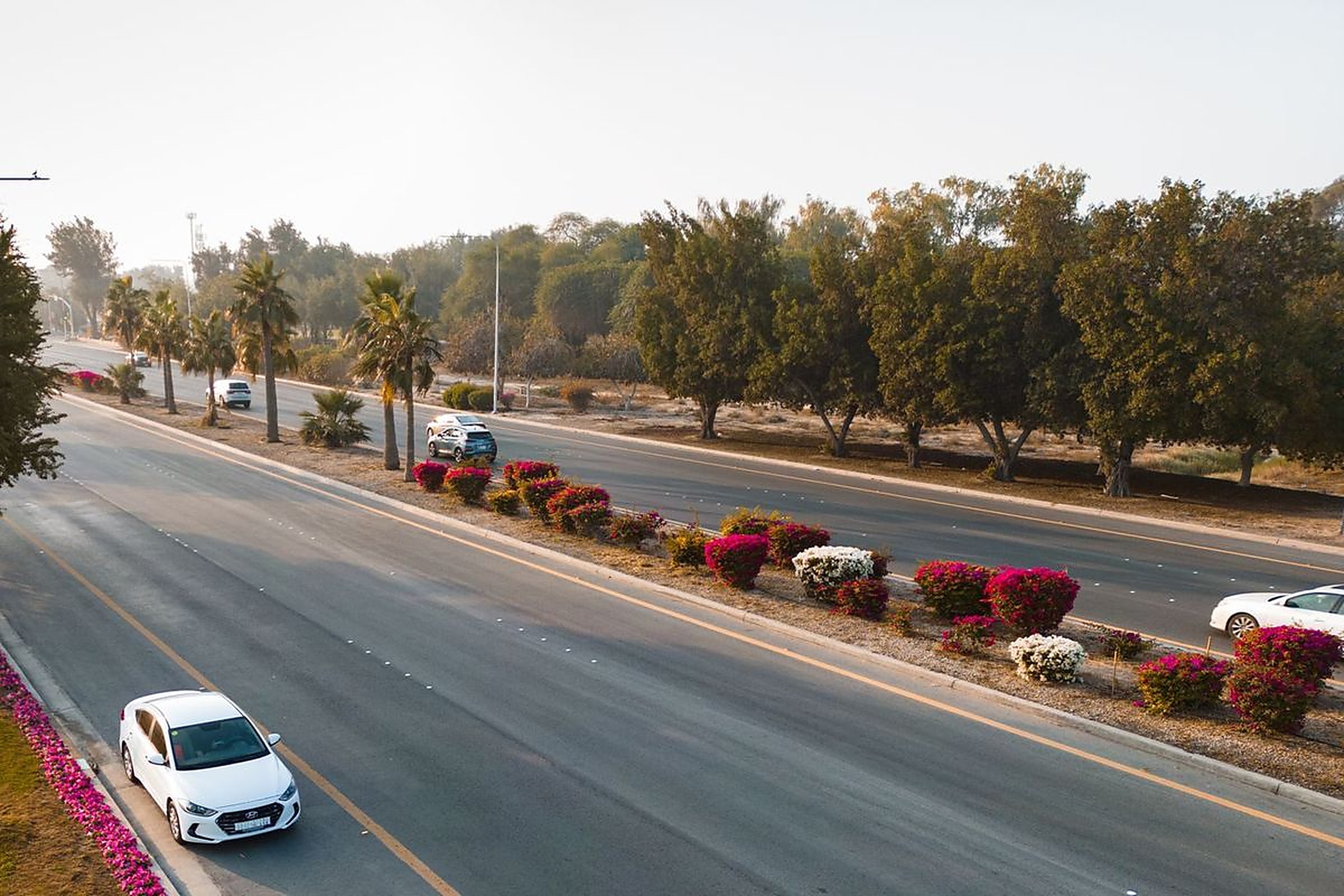 A CHAUFFIQ luxury car on the Riyadh highway at dusk