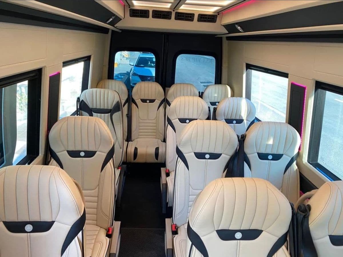 Sprinter VIP rows in cream leather